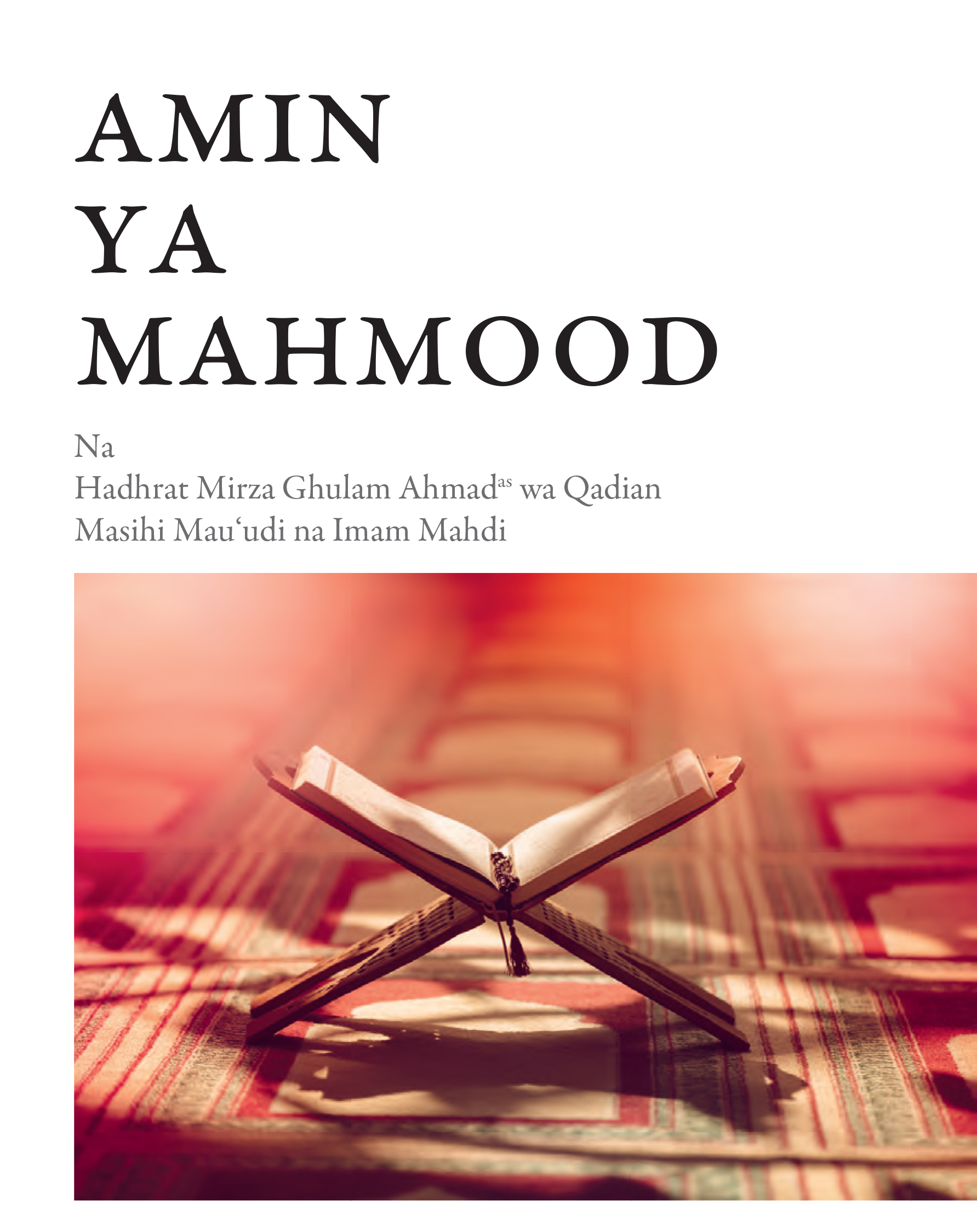 Amin Ya Mahmood